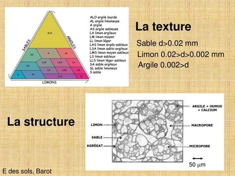 PPT Introduction à lécologie des sols PowerPoint Presentation free