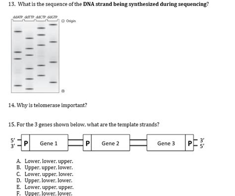 Solved Can someone solve questions for Practice exam | Chegg.com