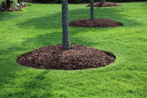 Mulch Installation - East End Trees