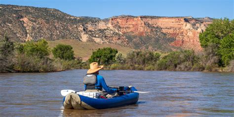 The Colorado River Blue Heron To Loma Adventr Co