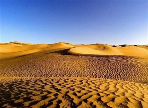 Taklamakan Desert - Alchetron, The Free Social Encyclopedia