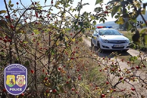 Nem találták a kiutat A Rendőrség hivatalos honlapja