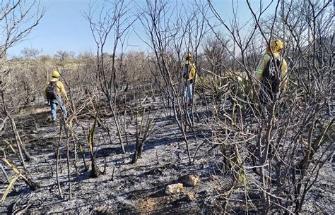 Controlan incendio en límites de Oaxaca y Puebla