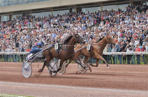 Prix Des Ducs Amiral Sacr Sur L Hippodrome De Caen