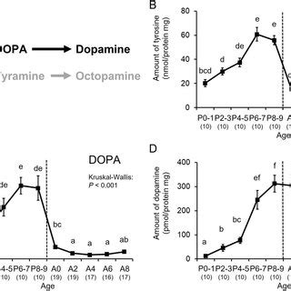 Age Dependent Changes In Dopamine Related Substances Normalized By