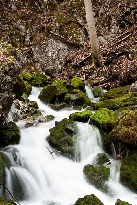 Warum ausreichend Wasser zu trinken so wichtig ist - Salzkammergut