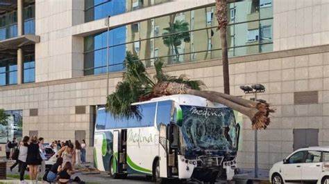 Un autobús atropella y mata a tres personas en Cádiz TokyVideo