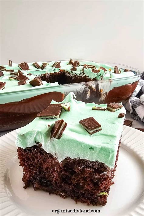 Chocolate Mint Cake - Organized Island