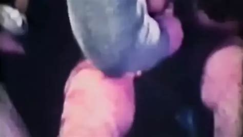 Free Vintage Weird Porn Videos XHamster