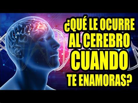 Esto Es Lo Que Ocurre En Tu Cerebro Cuando Te Enamoras Adiós Corazón