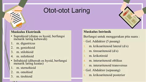 Anatomi Laring Faringpptx