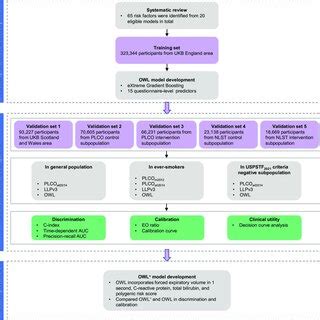 Study design and workflow. UKB = UK Biobank; PLCO = the Prostate, Lung ...