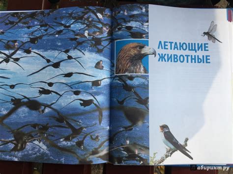 Книга: В мире животных. Энциклопедия - Пратези, Пратези. Купить книгу ...