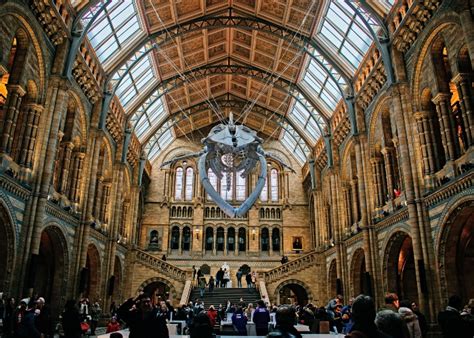 MUSEU DE HISTÓRIA NATURAL DE LONDRES eusoquerotudo