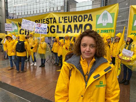 La Repubblica Dei Mandarini Viaggio Nellitalia Della Burocrazia Delle Tasse E Delle Leggi Inutili 7