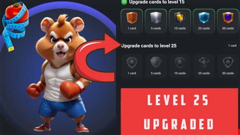 Hamster Kombat Level Cards Upgrade New Achievement Task August