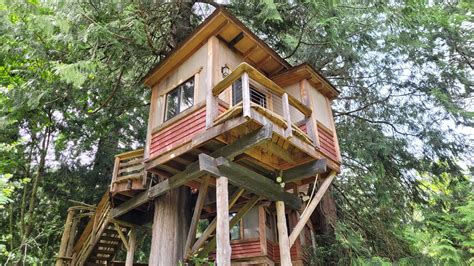 Saw an amazing pair of Treehouses yesterday on Vashon Island, WA state