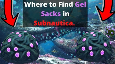 Where To Get Gel Sacks In Subnautica Updated Youtube