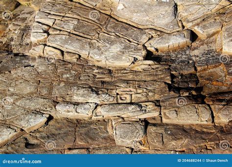 Erosion Patterns in Rock at Reids Mistake Stock Photo - Image of joints ...