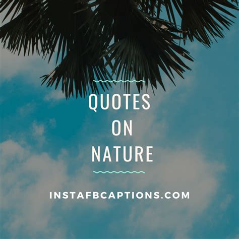 [98+] Greenery Quotes Captions for Instagram in 2024