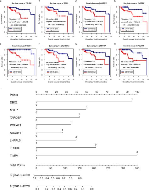 Frontiers Prognostic Biomarkers On A Competitive Endogenous Rna