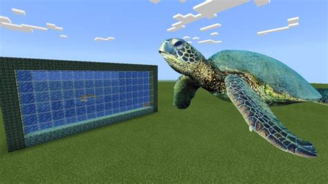 How To Breed Sea Turtles In Minecraft Ps