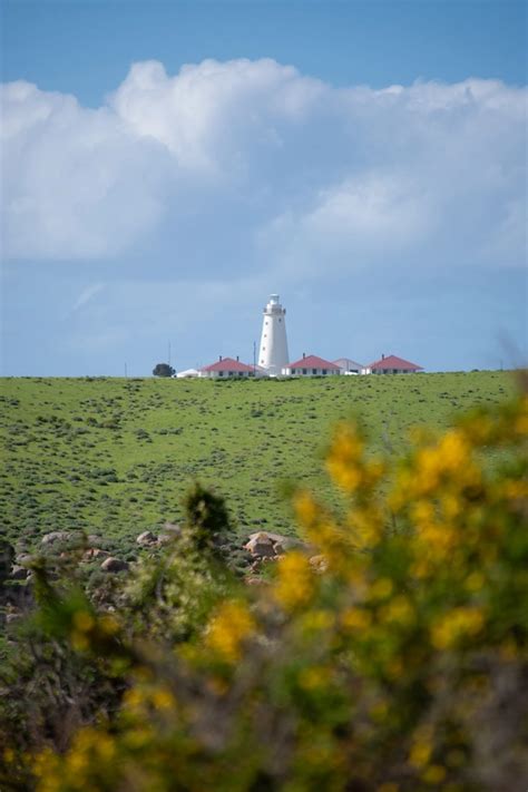 Sea Dragon Lodge Kangaroo Island