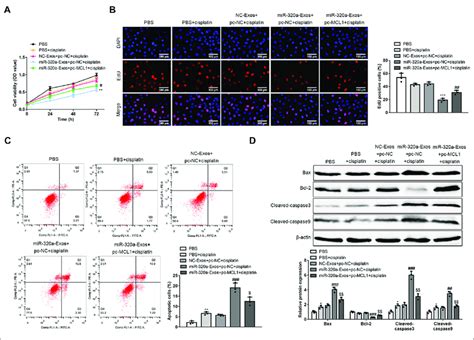 Mir 320a Overcomes Ddp Resistance In Heladdp Cells By Regulating