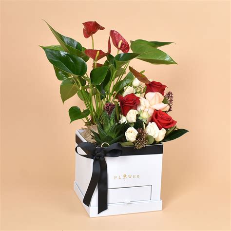 Remarkable Plants Box Of 20 Notecards Thames Hudson Gift 2