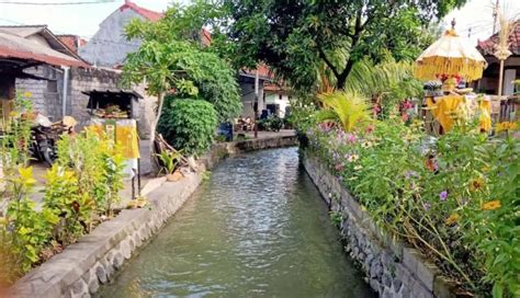 Nusabali Kps Tukad Wang Biga Sulap Sungai Kotor Jadi Indah