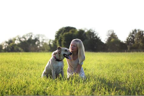 Can Labrador Retrievers Be A Good Guard Dog Dogforms