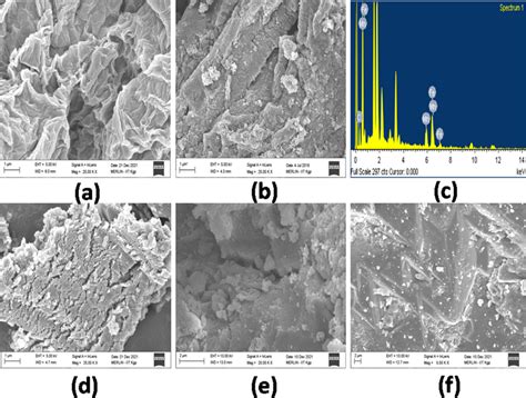 A Sem Image Of Go B Sem Image Of Go Femn Hybrid C Edx Spectrum