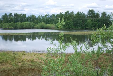 Wetland Bank - Port of Vancouver USA