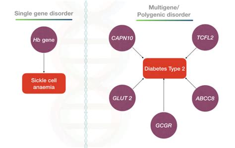 Difference Between Genetics Vs Genomics – Genetic Education