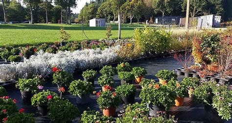 Qu Briac D Couvrez Les Serres De Launay Et Son Tiers Lieu Agri Culturel