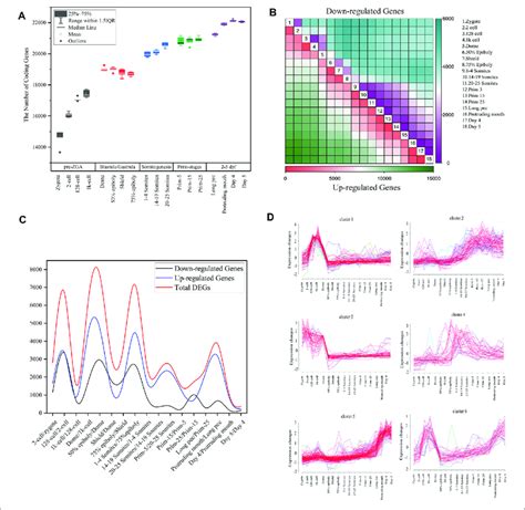 | Gene expression dynamics during zebrafish development. (A) The ... 