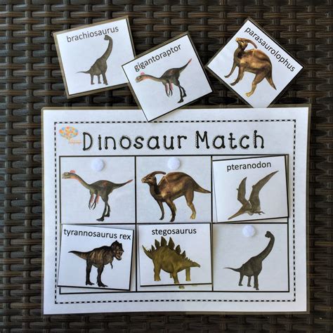 Dinosaur Activities Daycare Activities Vocabulary Activities Sorting