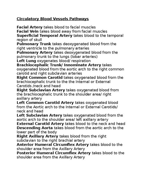 Circulatory Blood Vessels Pathways 2 - Circulatory Blood Vessels Pathways Facial Artery takes ...