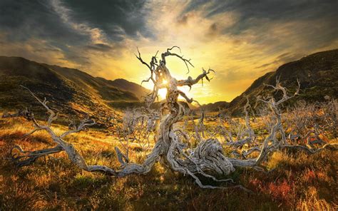 Baggrunde Sollys Landskab Solnedgang Natur Aften Morgen Demark