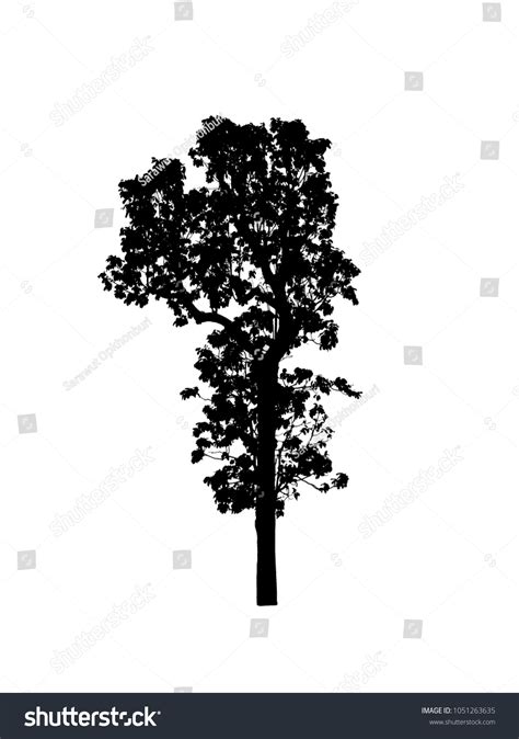 Tree Silhouette Brush Photoshop Stock Illustration 1051263635 ...