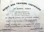 Bomb Dog Training & Bomb Sniffing Dogs For Sale