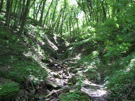 Pikes Peak State Park of Iowa: About Pikes Peak