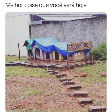 Por Que Voc N O Posta Muitas Fotos Suas Eu Memes