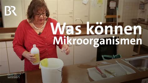 Effektive Mikroorganismen Test Wie Sinnvoll Sind Em Im Haushalt