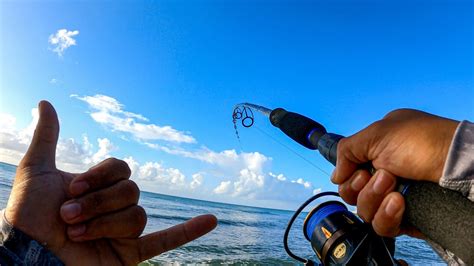 Jurel Amarillo Con Popper De Vense Lures Crevalle Jack Puerto