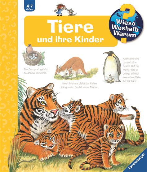 Wir Entdecken Marchen Wieso Weshalb Warum Band 68 4