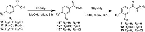 Synthesis of hydrazide derivatives 11–13 | Download Scientific Diagram