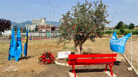 Uil Frosinone Inaugurato L Angolo Del Ricordo E Della Sensibilizzazione