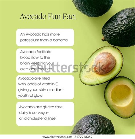 Avocado Infographic Images Stock Photos Vectors Shutterstock