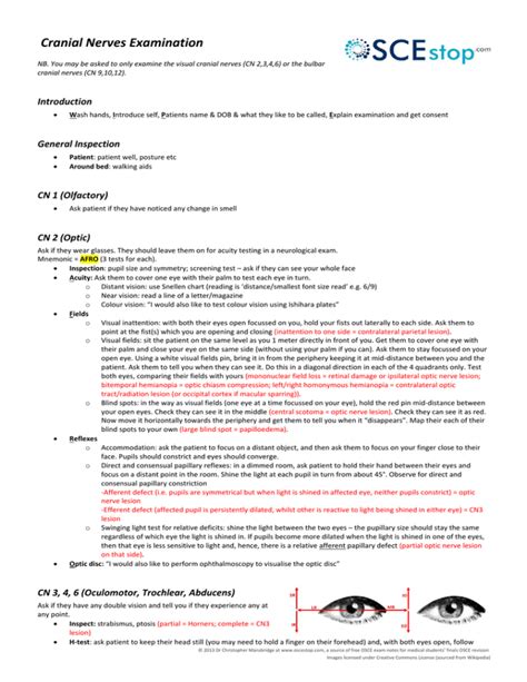Cranial Nerves Examination